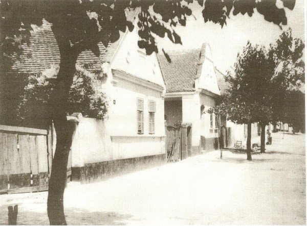 Na staroj fotografiji  iz Novih Banovaca vidi se kuća porodice  Adama Schleichera, prva polovina 20. veka. Sa sajta www.neu-banovci.de