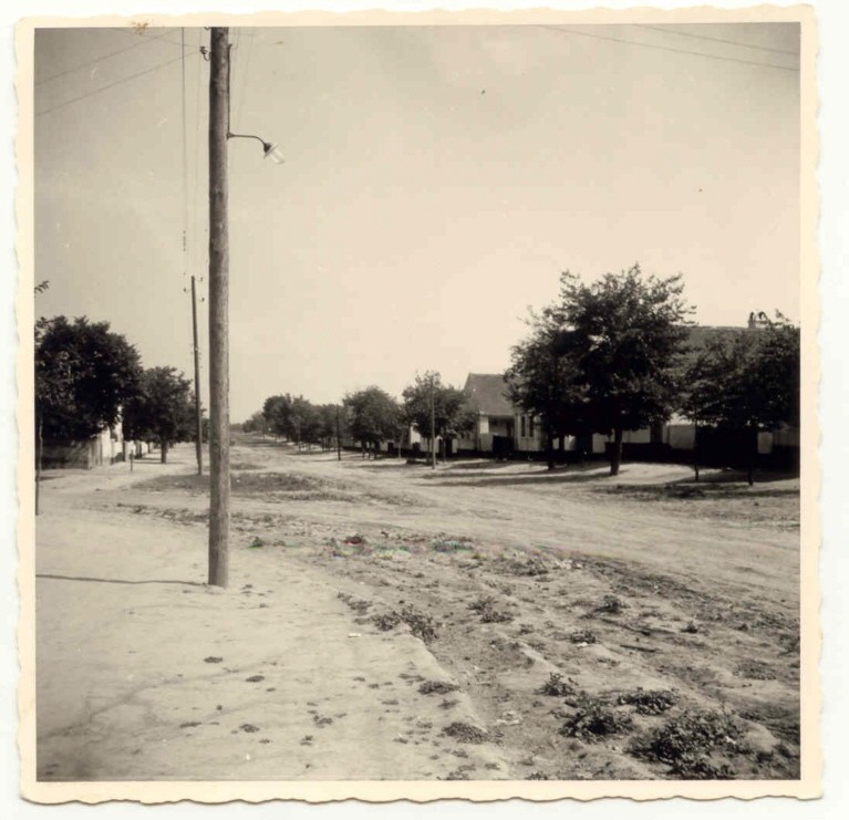 Na staroj fotografiji  iz Novih Banovaca vidi se Glavna ulica , prva polovina 20. veka. Sa sajta www.neu-banovci.de
