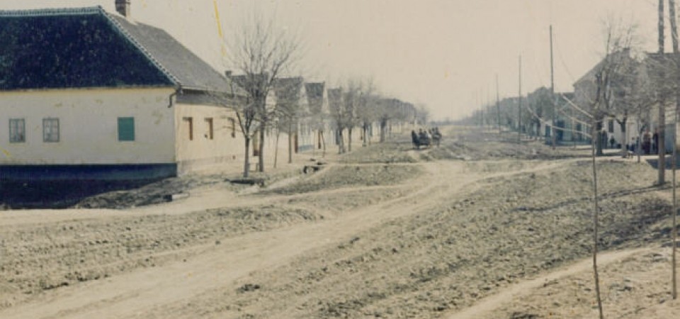 Na staroj fotografiji iz prve polovine 20. veke  vidi se Glavna ulica u  Novim Banovcima. Sa sajta www.neu-banovci.de
