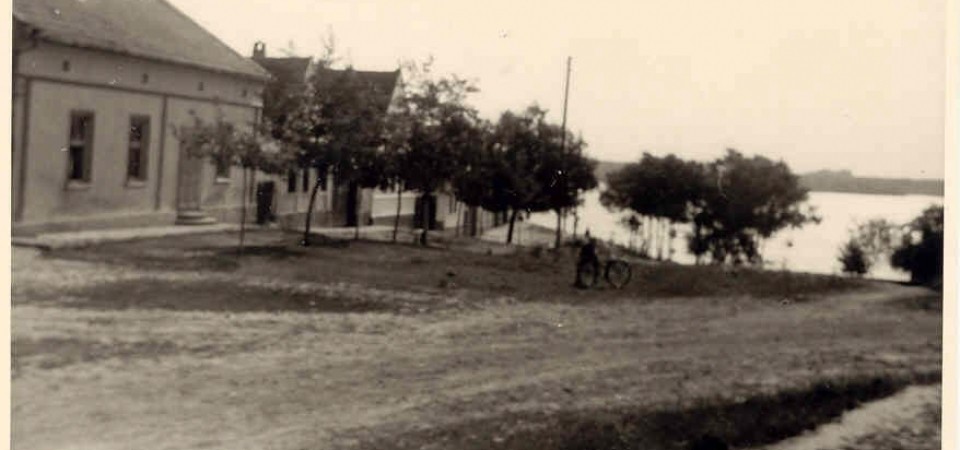 Na staroj fotografiji  iz Novih Banovaca vidi se ulica do Dunava , prva polovina 20. veka.Sa sajta www.neu-banovci.de