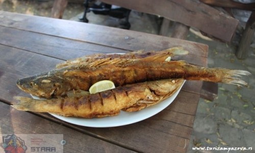 Specijalitet od sveže dunavske ribe
