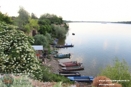 Pogled na Dunav